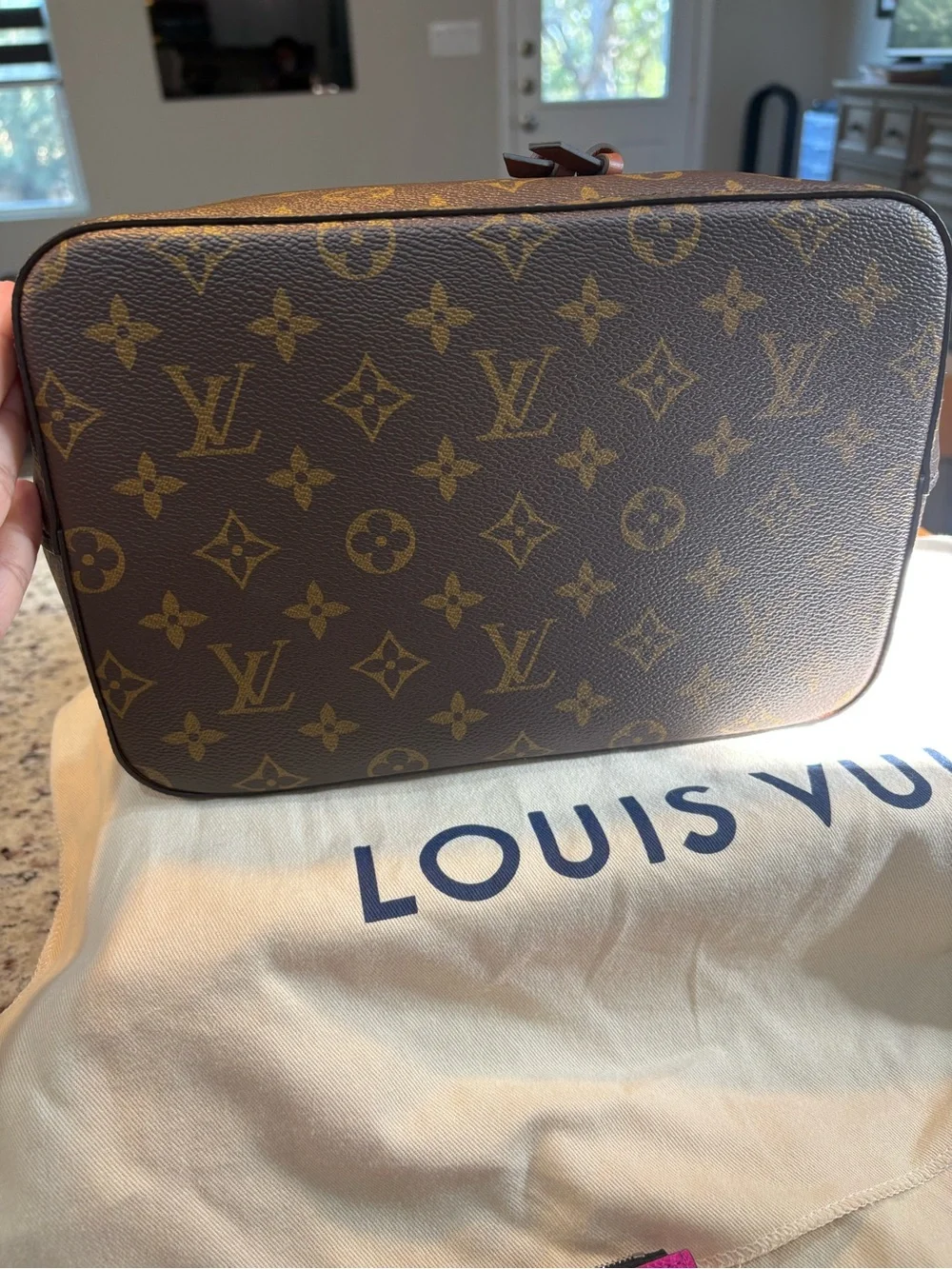 Louis Vuitton Neo Noe MM & Taigarama coin card holder